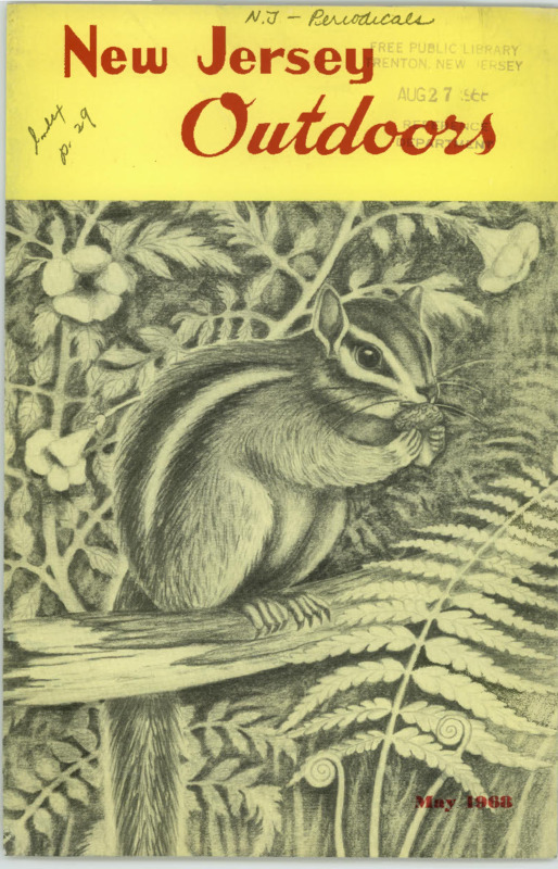 Thumbnail Image